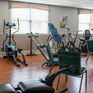 Health & Lifestyle Program (17 days)