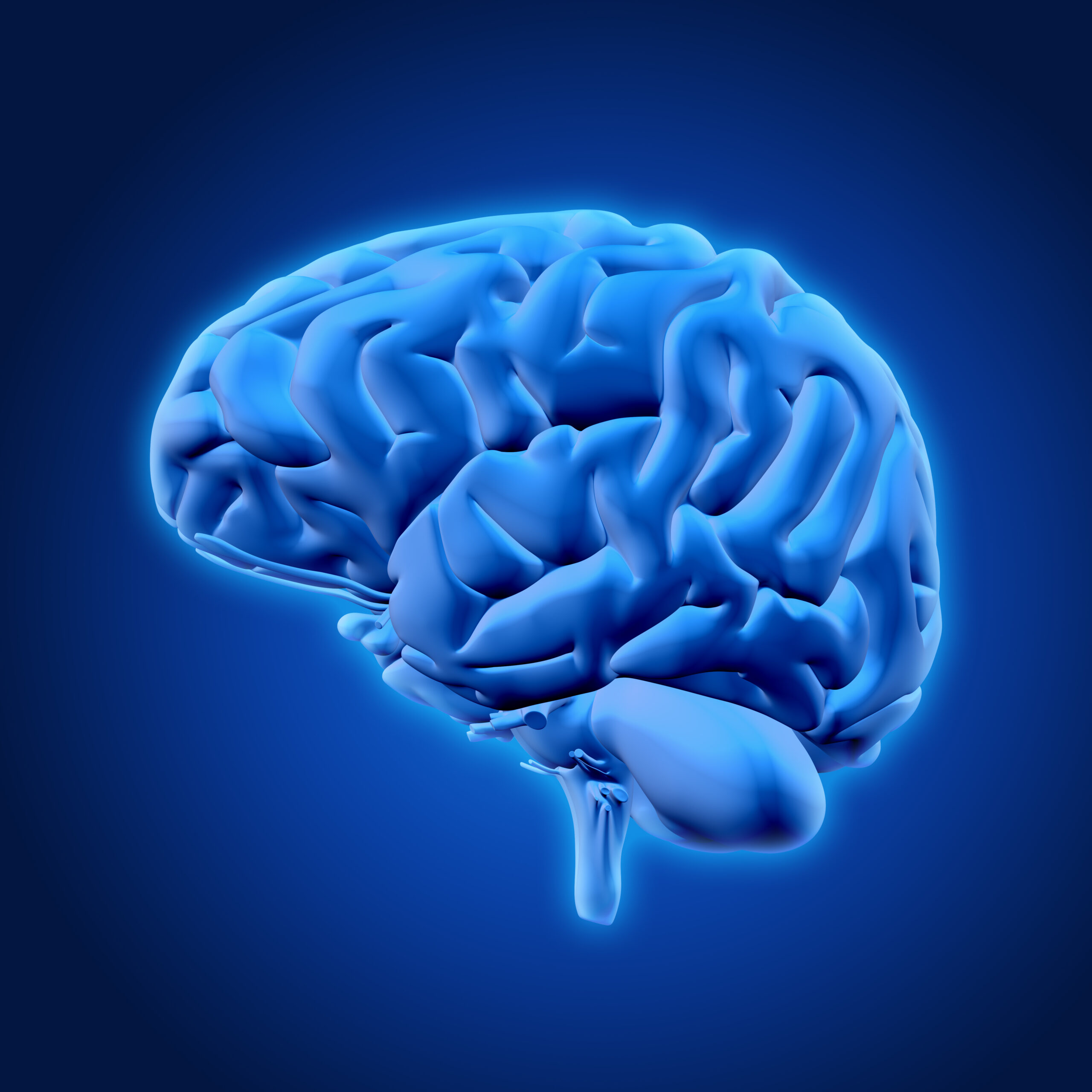 Change Your Brain With Gratitude